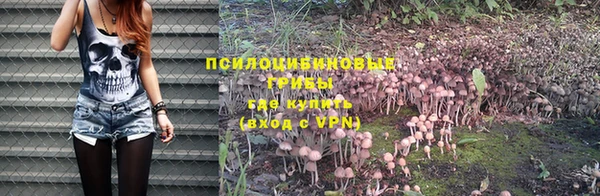 кокаин колумбия Краснослободск