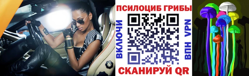 Галлюциногенные грибы мухоморы  Купить закладки  Мураши 
