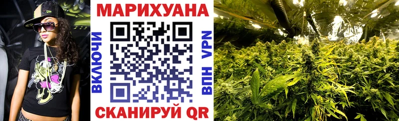 Купить где  Мураши  Бошки марихуана Amnesia 